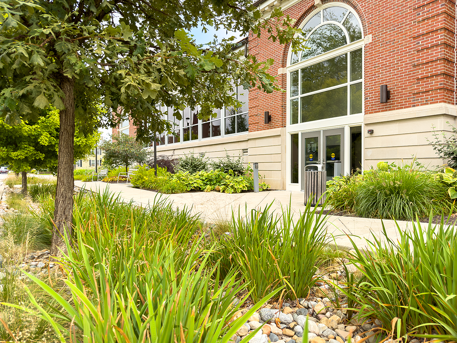 Bioswale landscape outside Main Library